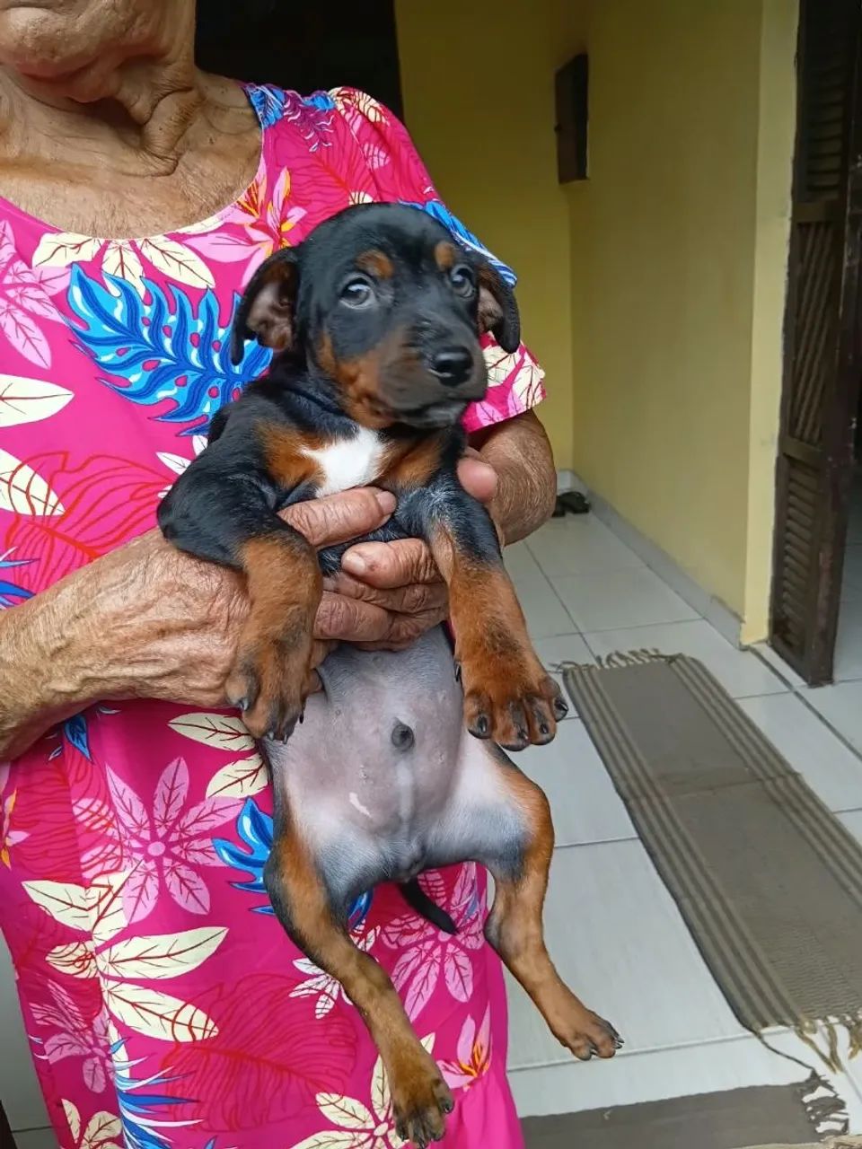 Pinche 1 2 meses - Foto 2