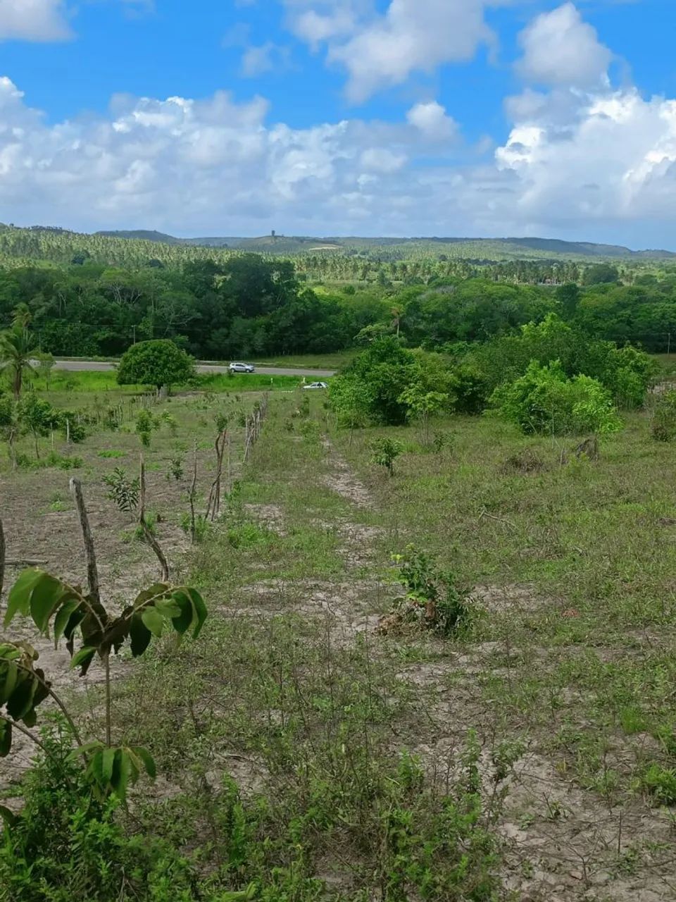 Vendo terrenos perto de Santo amaro perto do povoado aldeias  - Foto 3