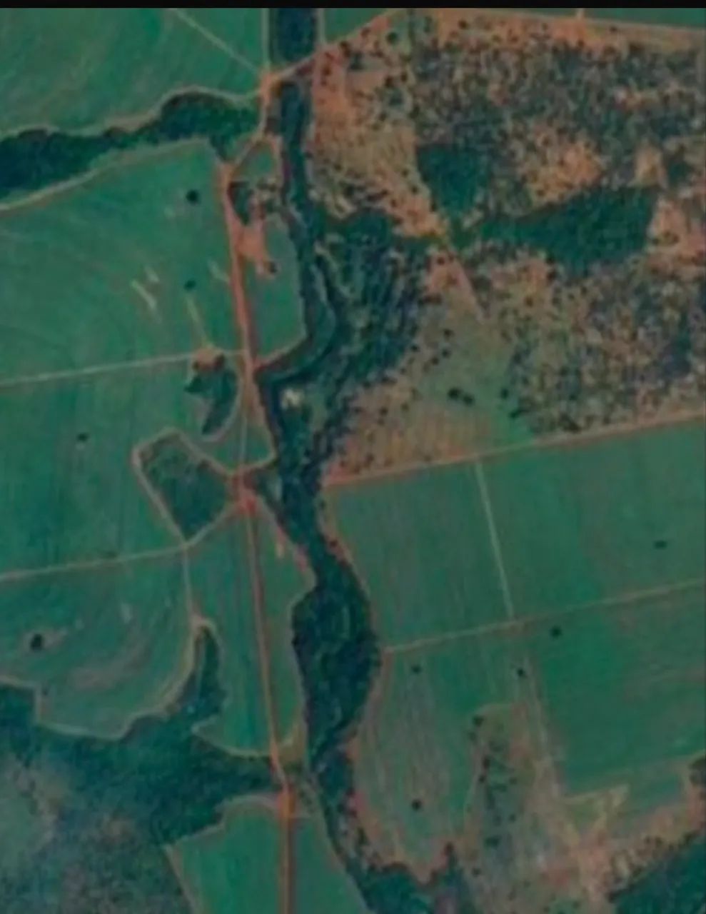 Fazenda com cana próximo Ituiutaba  - Foto 5