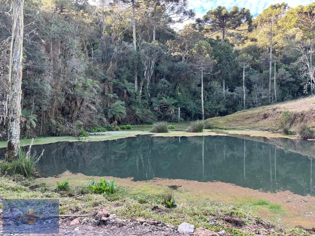 Área Rural para Venda em Urubici, Panelão - Foto 4