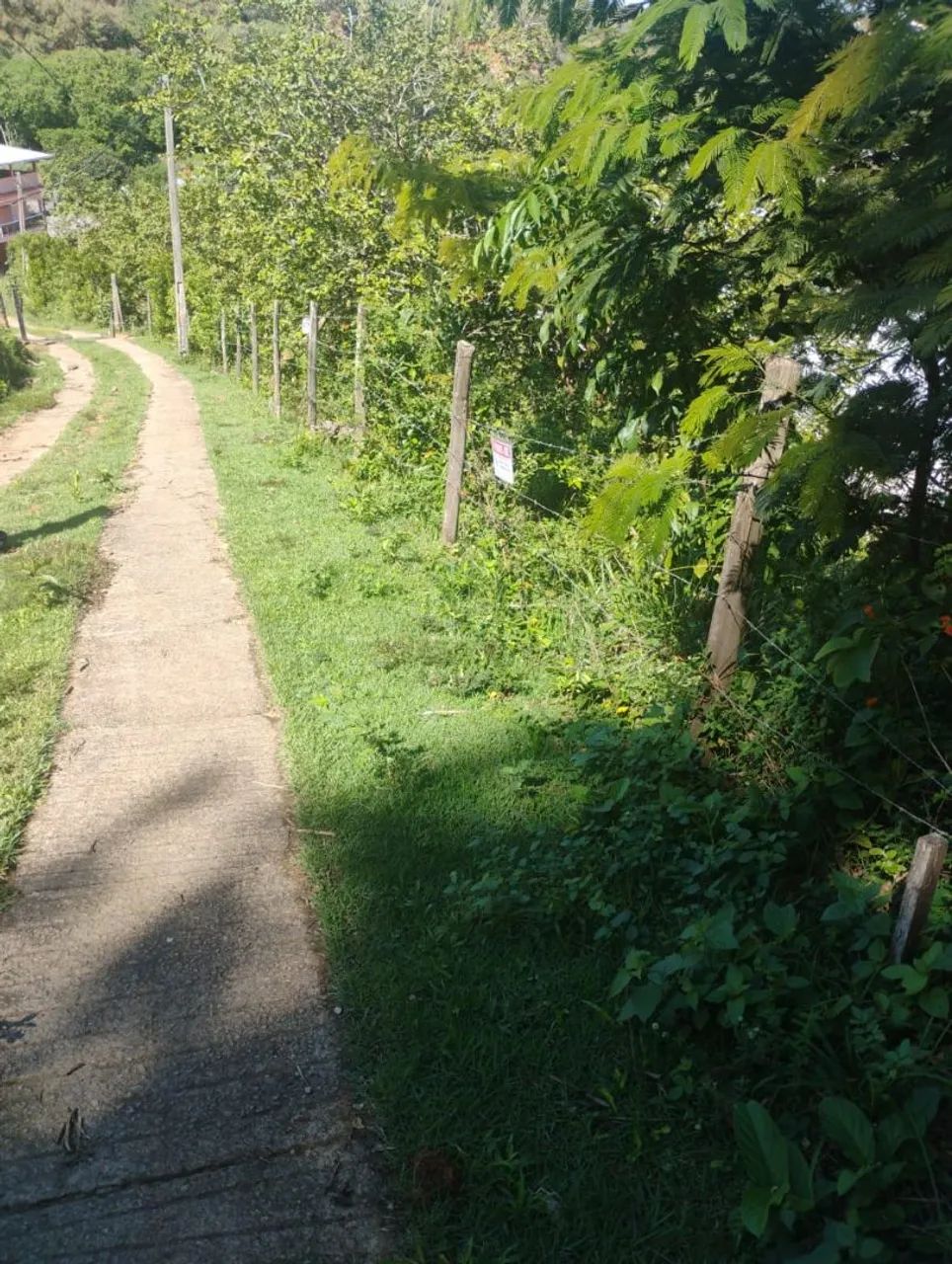 Foto - Rio Novo do Sul - 