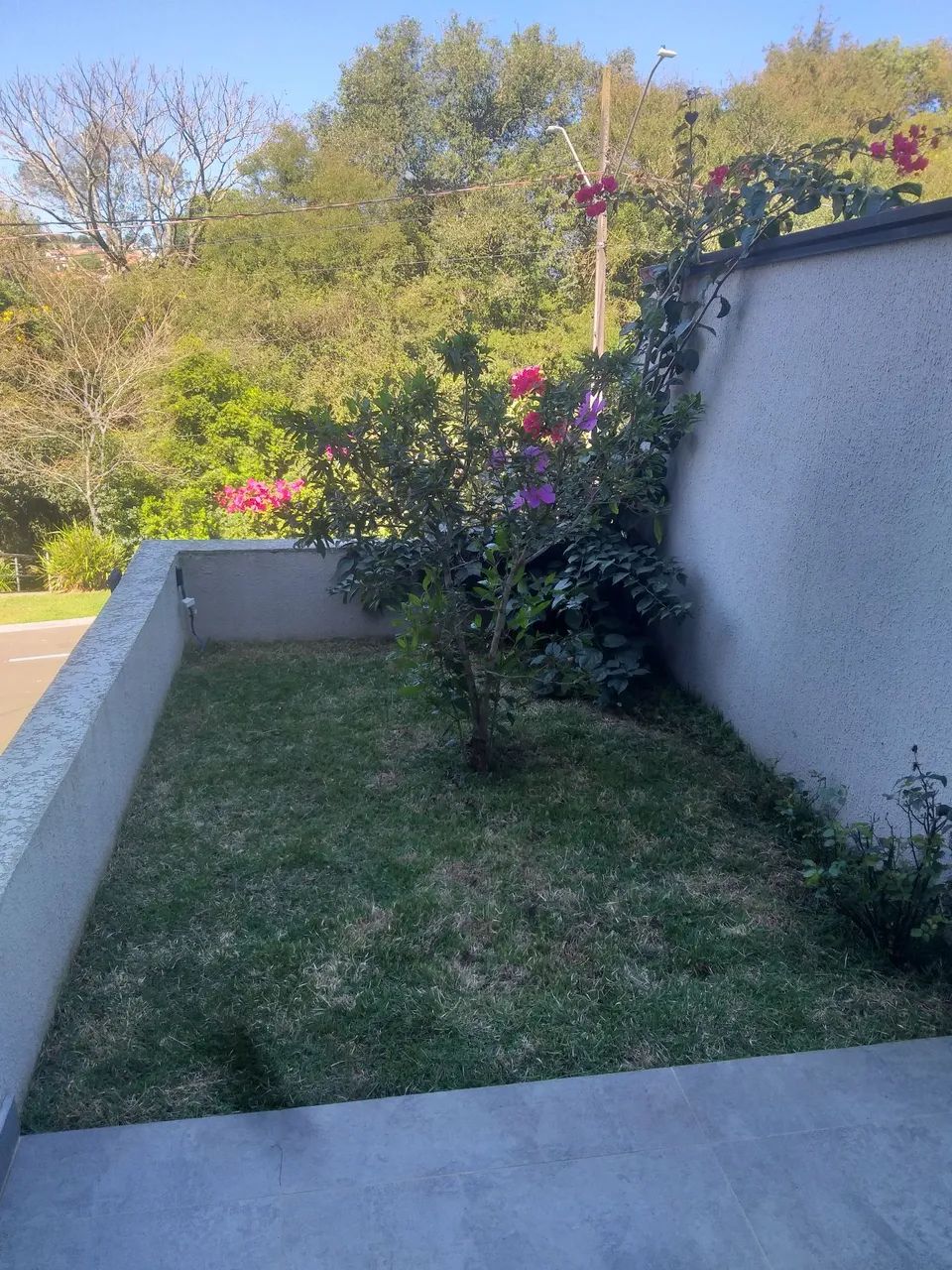 Jardim , corte de grama ?  - Foto 3