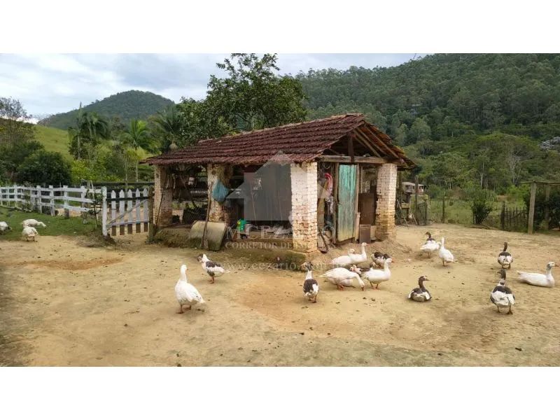 Sítio a venda - Macuco, Taubate - Foto 3