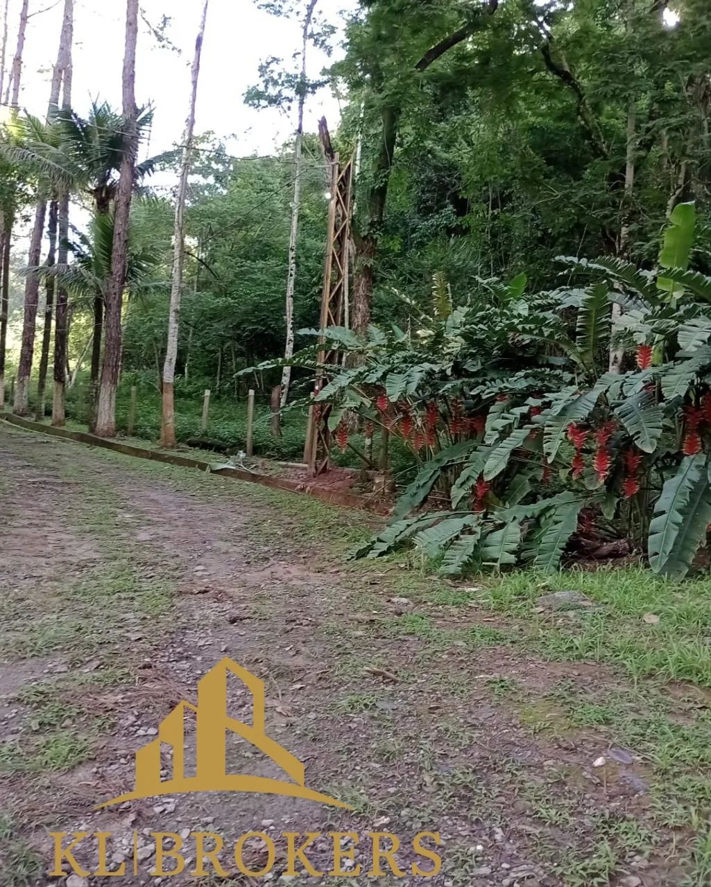SITIO RURAL em VARGEM ALEGRE - RJ, Vargem Alegre - Foto 5