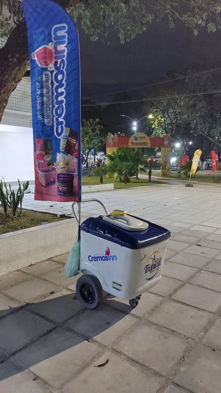 Carrinho de Picolé e Sorvetes  - Foto 4