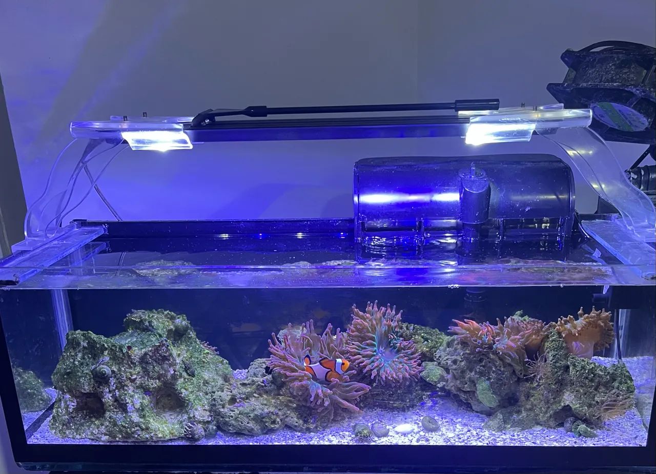 Aquario  - Foto 3