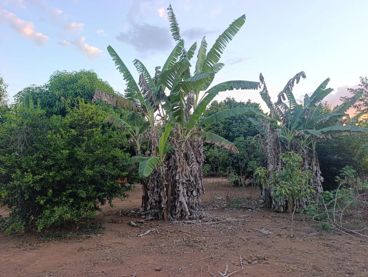 CHÁCARA À VENDA EM PARAUAPEBAS/PA - Foto 5