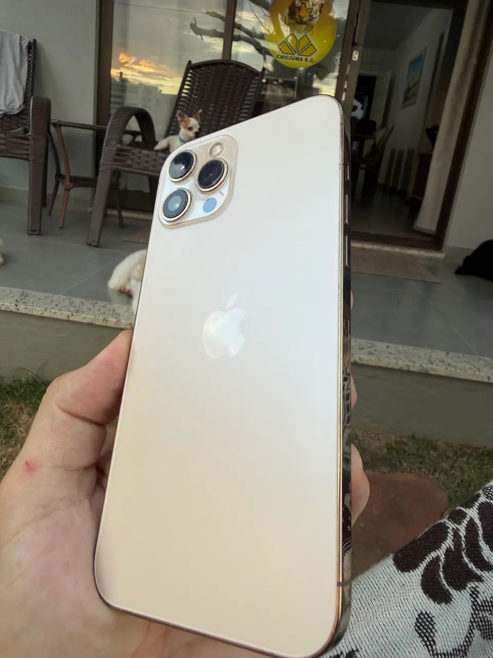 iPhone 12 Pro Max 256Gb - Celulares e Smartphones - Centro