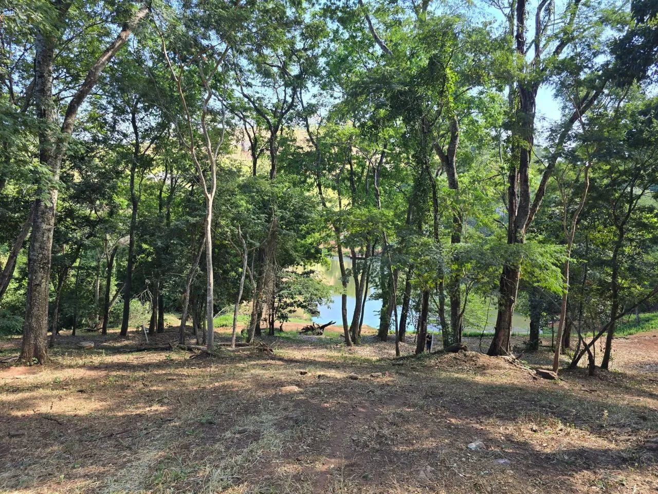 Lote no Aldeia do Vale 4.253m² - Foto 3
