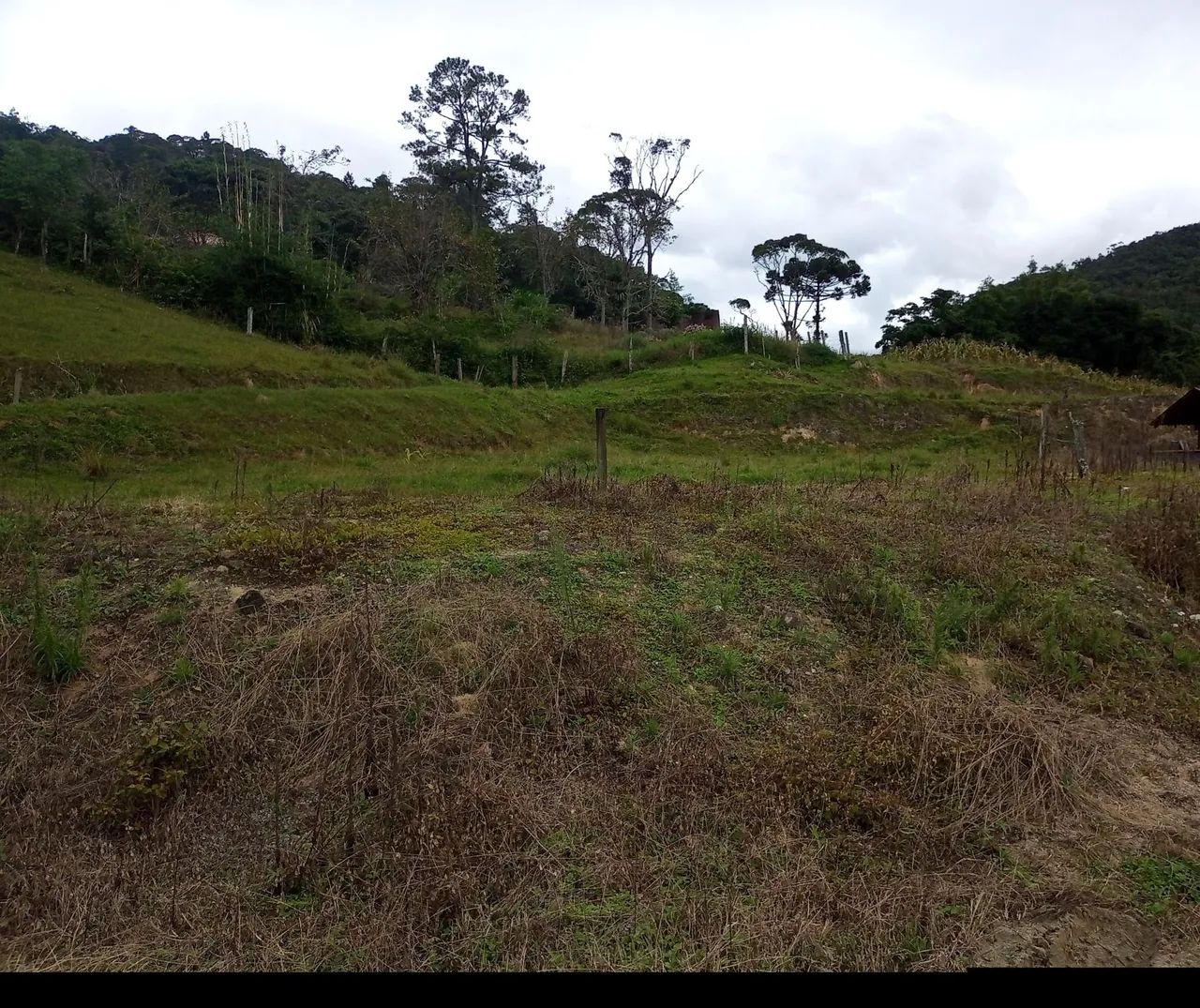 Vendo terreno  - Foto 3