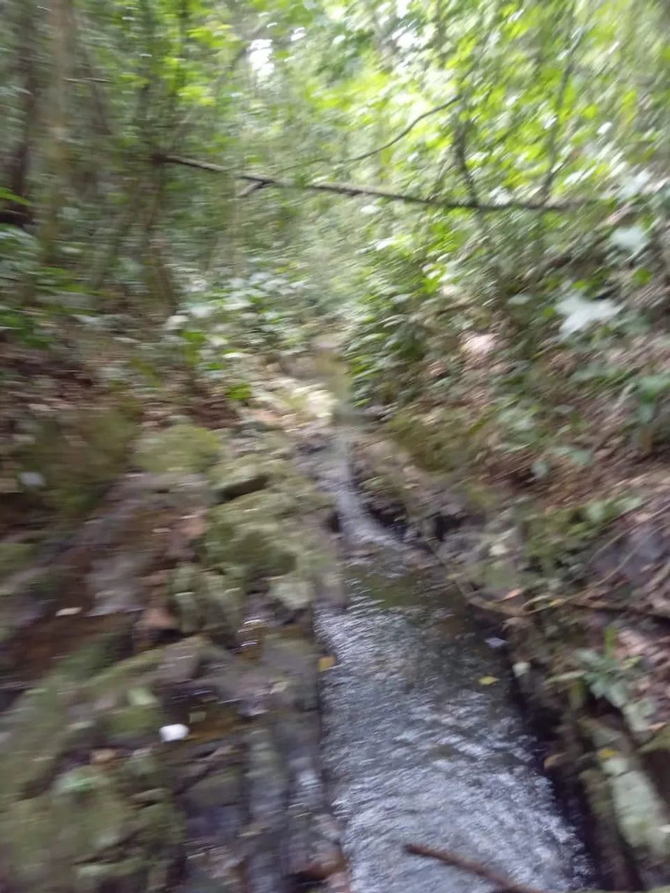 Vendo ou troco  3 terrenos  - Foto 4