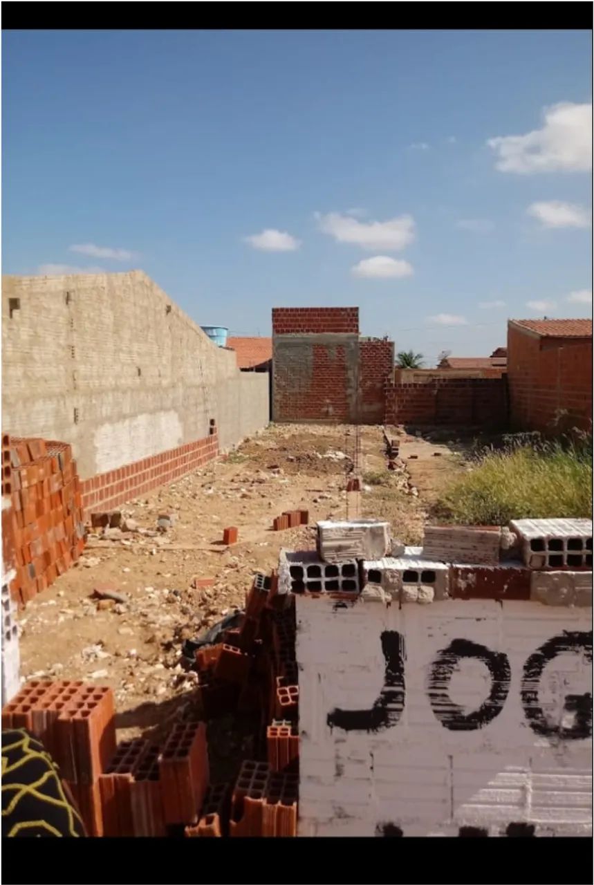 Foto - Juazeiro - Cajueiro