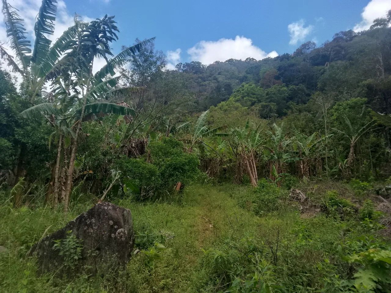 Vende-se  - Foto 5
