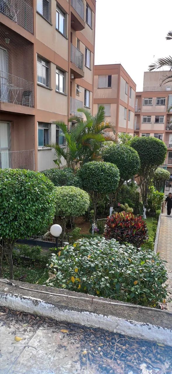 Paisagismo e jardinagem * - Foto 2