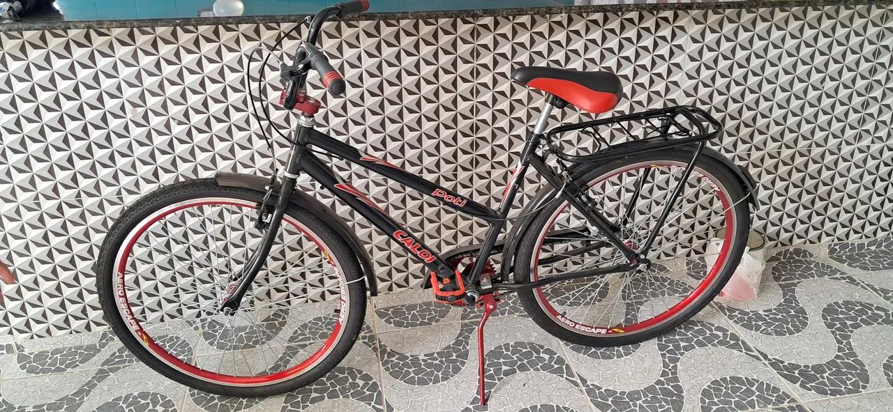 BICICLETA NOVA POTTY