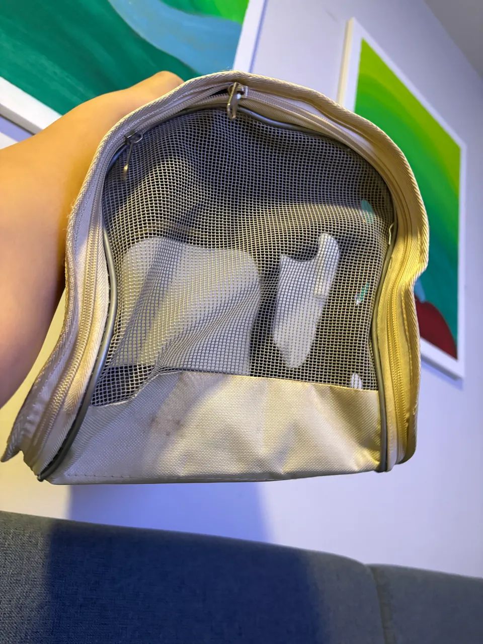 Bolsa pet - Foto 4