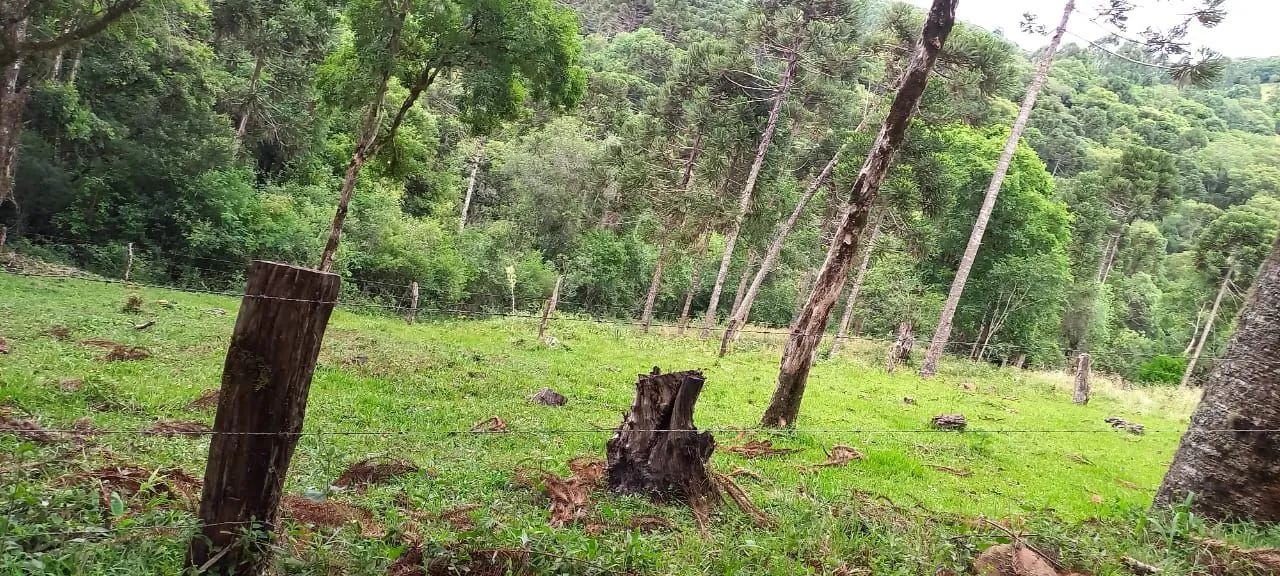 Chácara 5.000km² - Foto 4