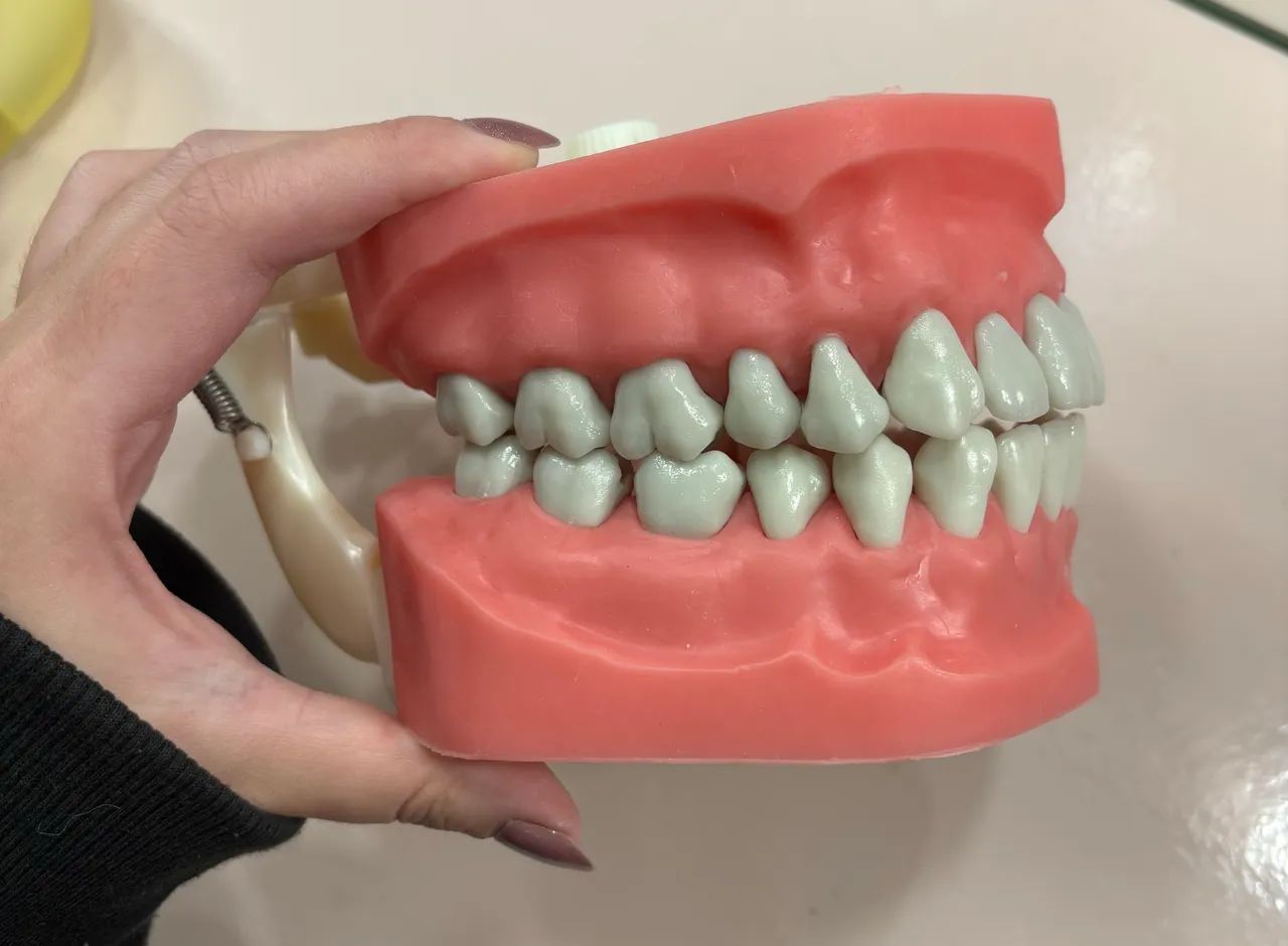     Manequim de Dentística (Pouco Usado) - Foto 3