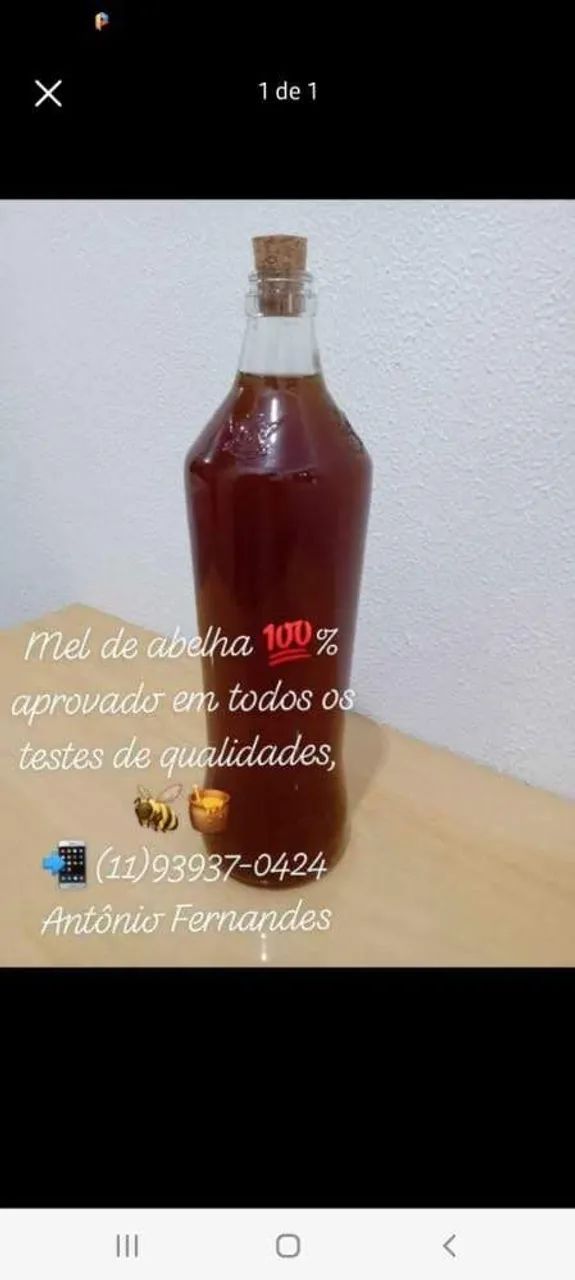 Mel de abelha florada silvestre 