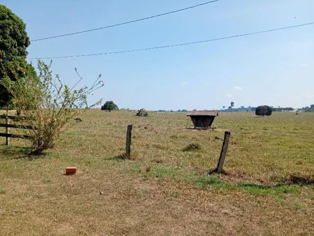 Lindo Sitio com 64 Alqueires em Parecis - RO - Foto 3