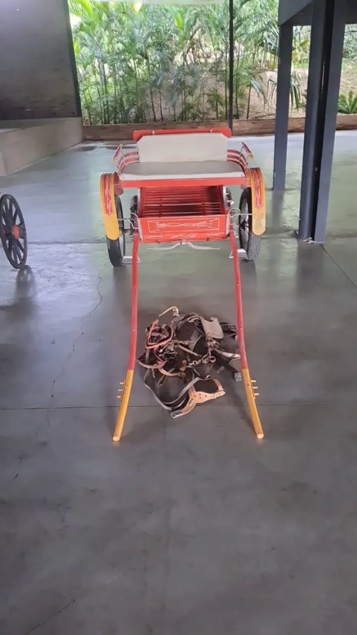 Vende-se 3 charretes - Foto 4