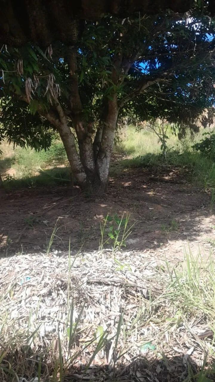 Sítio povoado aninguas (em São Cristóvão) - Foto 2