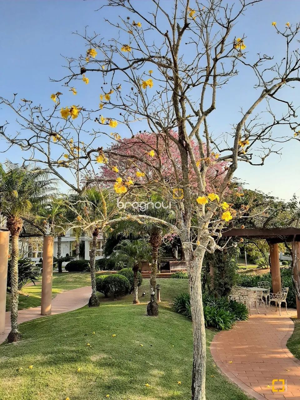 Casa Duplex Em Jurerê internacional - Foto 5