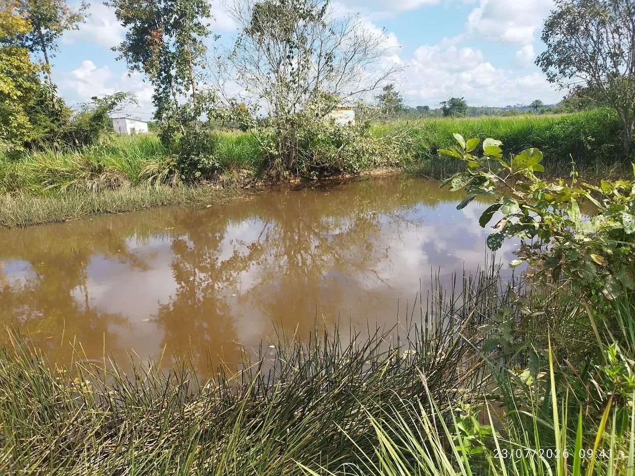 Chacara Dentro da cidade preço bom  - Foto 3