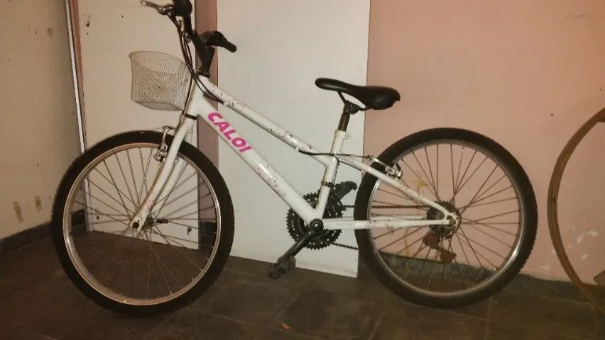 CALOI CECI 