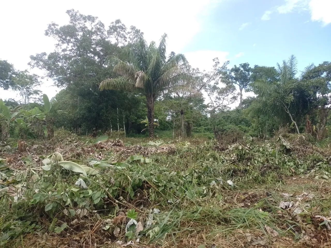 VENDE-SE TERRENO(CHÁCARA)  - Foto 4