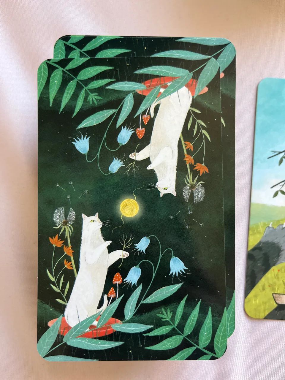 Tarot dos Gatos da floresta encantada  - Foto 5