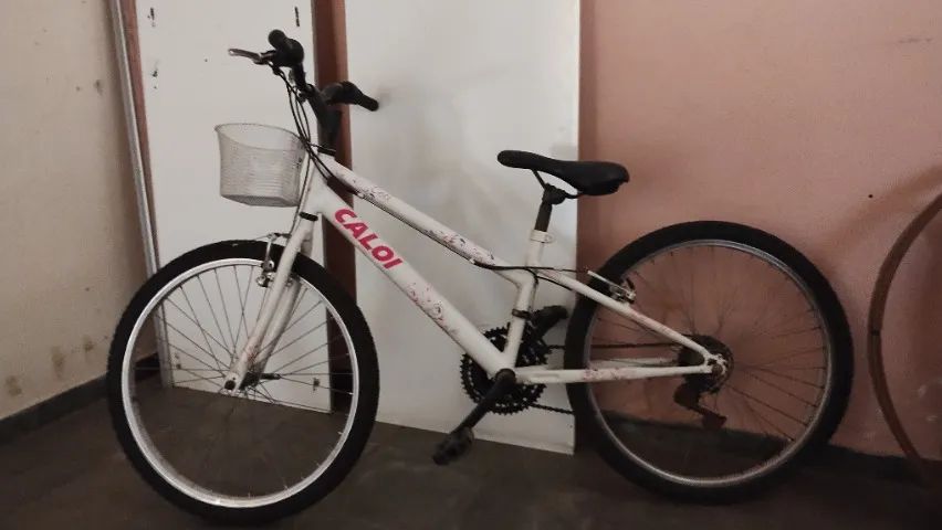 CALOI CECI  - Foto 3