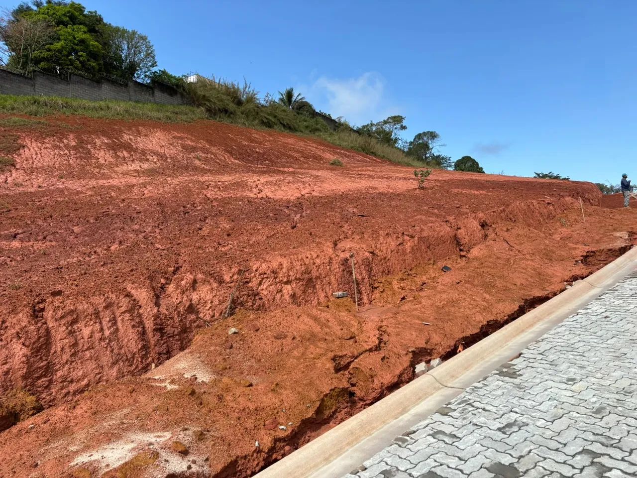 Lote / Terreno - Salvaterra - Foto 4