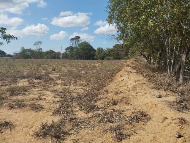 lotes disponiveis para venda 