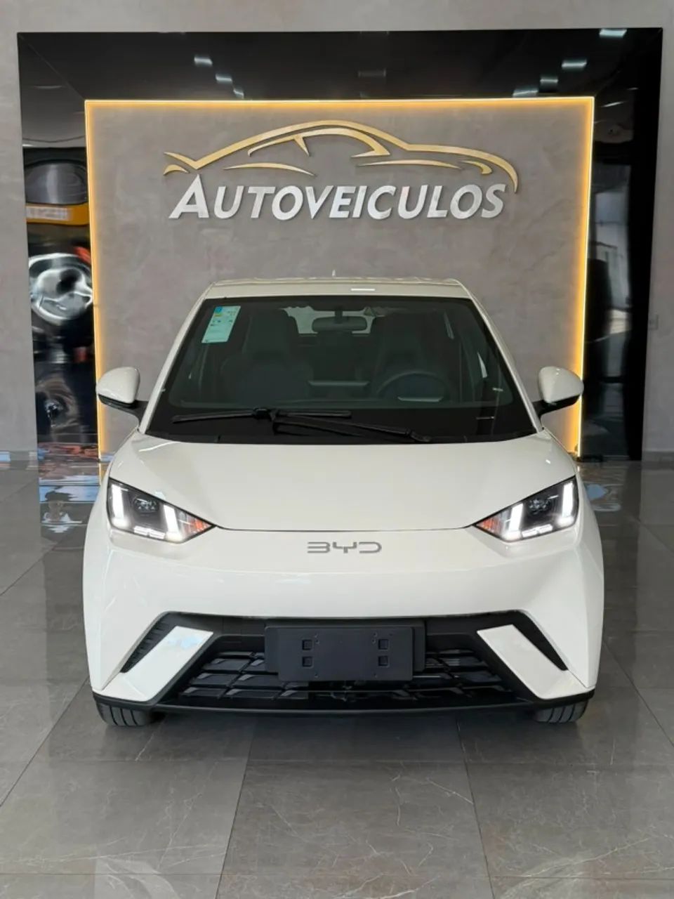 BYD Dolphin Mini (Elétrico) 2027 - Foto 3