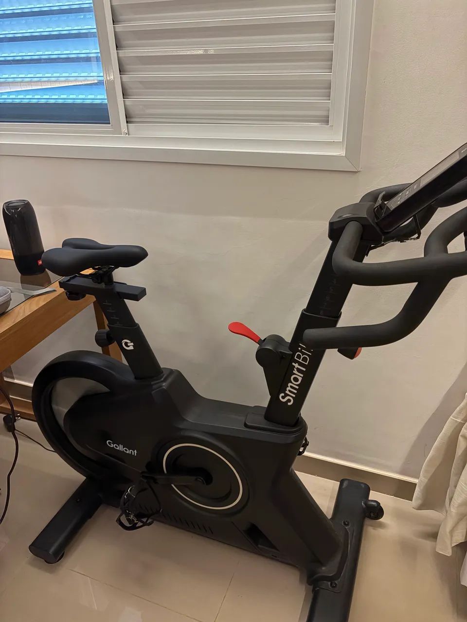 Bicicleta ergométrica 