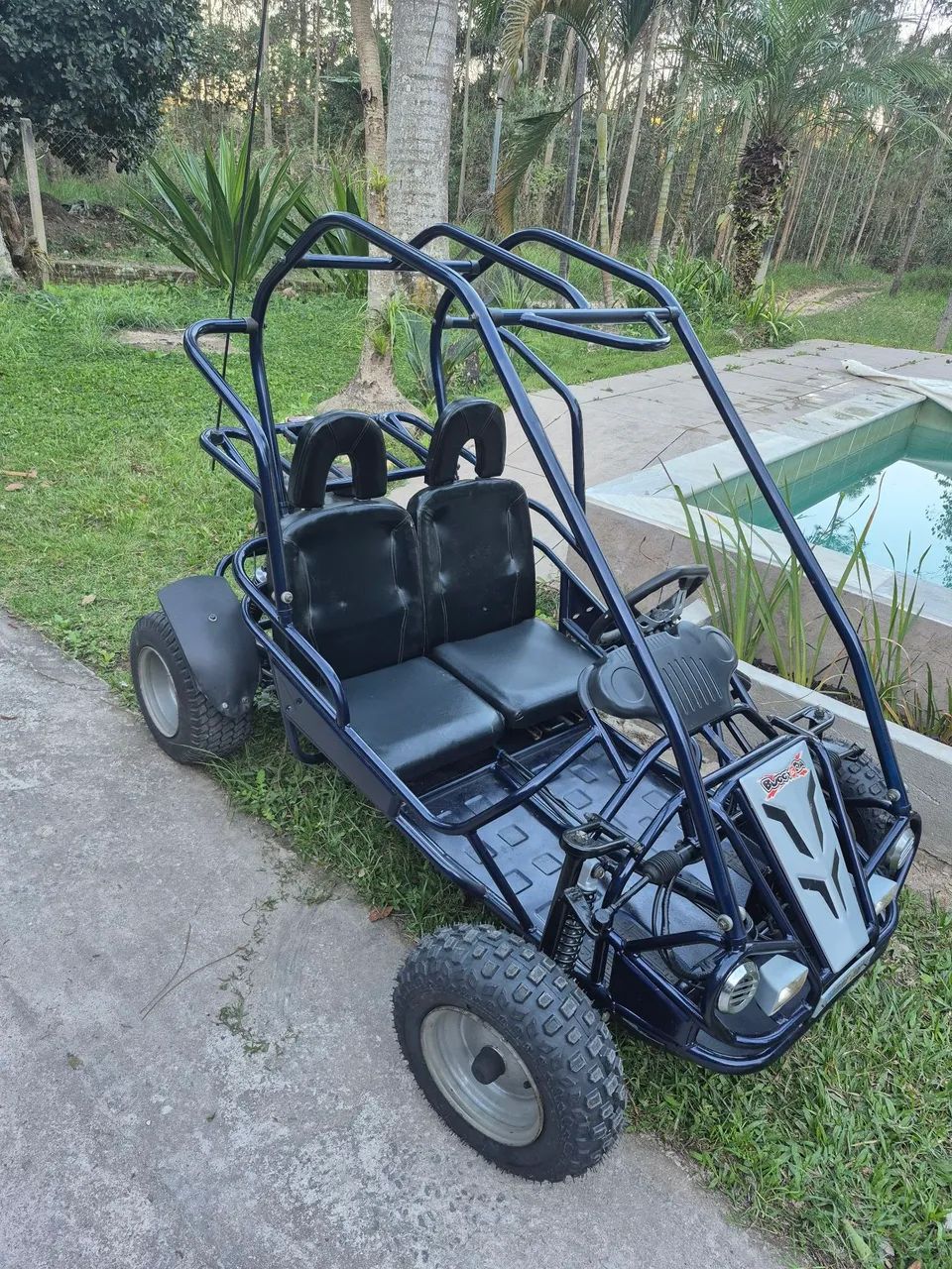 Buggy Hammerhead 
