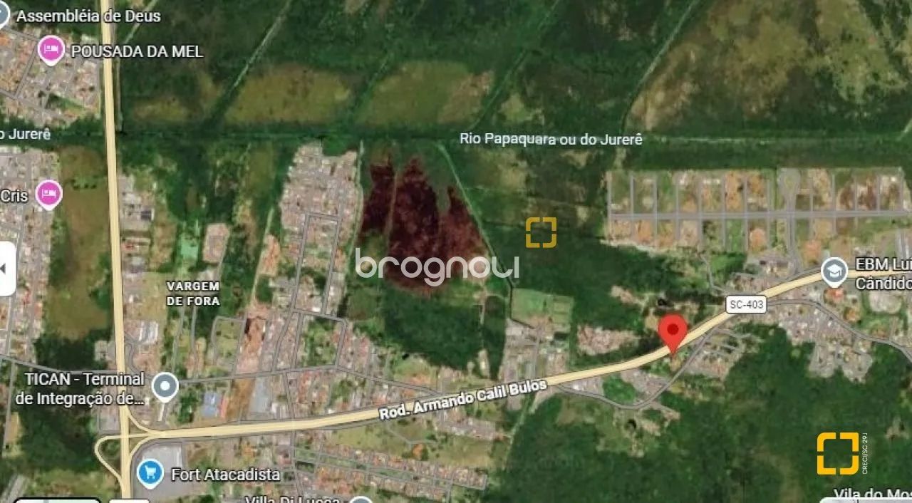 TERRENO COM 8.803,07 mt na SC 403 - Foto 5
