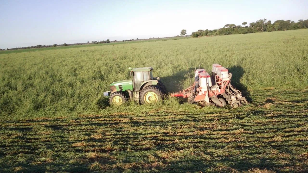 Fazenda Jussara Goiás  - Foto 5