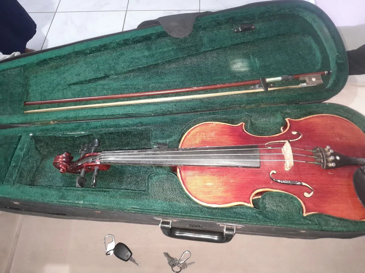 Violino eagle