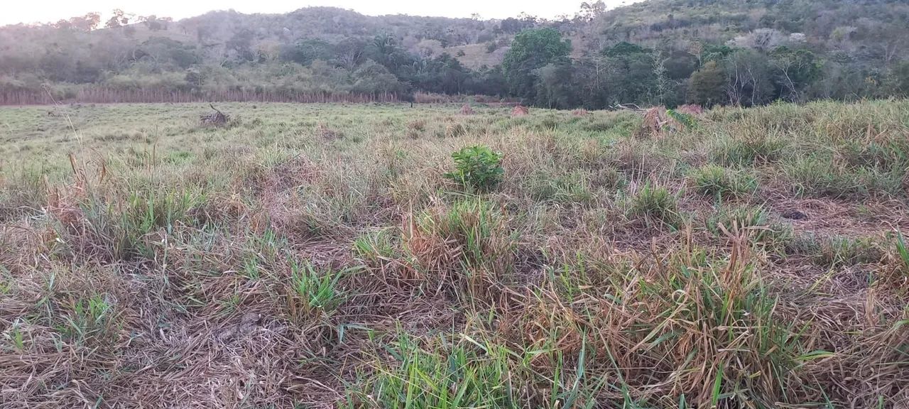 Vendo essa chácara na agrovila Pedro Afonso  - Foto 5