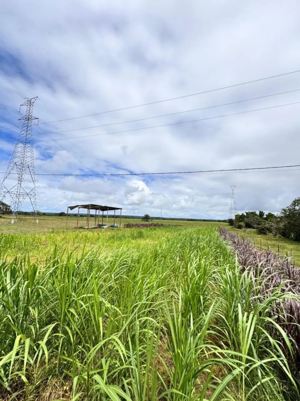 Fazenda para Venda em Penedo, Zona Rural - Foto 4