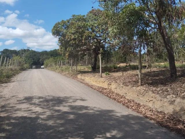 lotes disponiveis para venda  - Foto 4