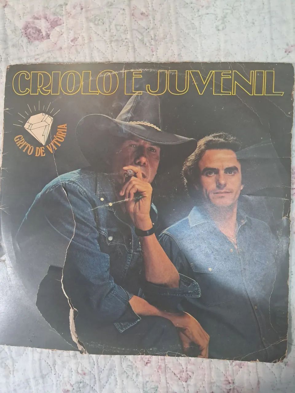 Disco de vinil 