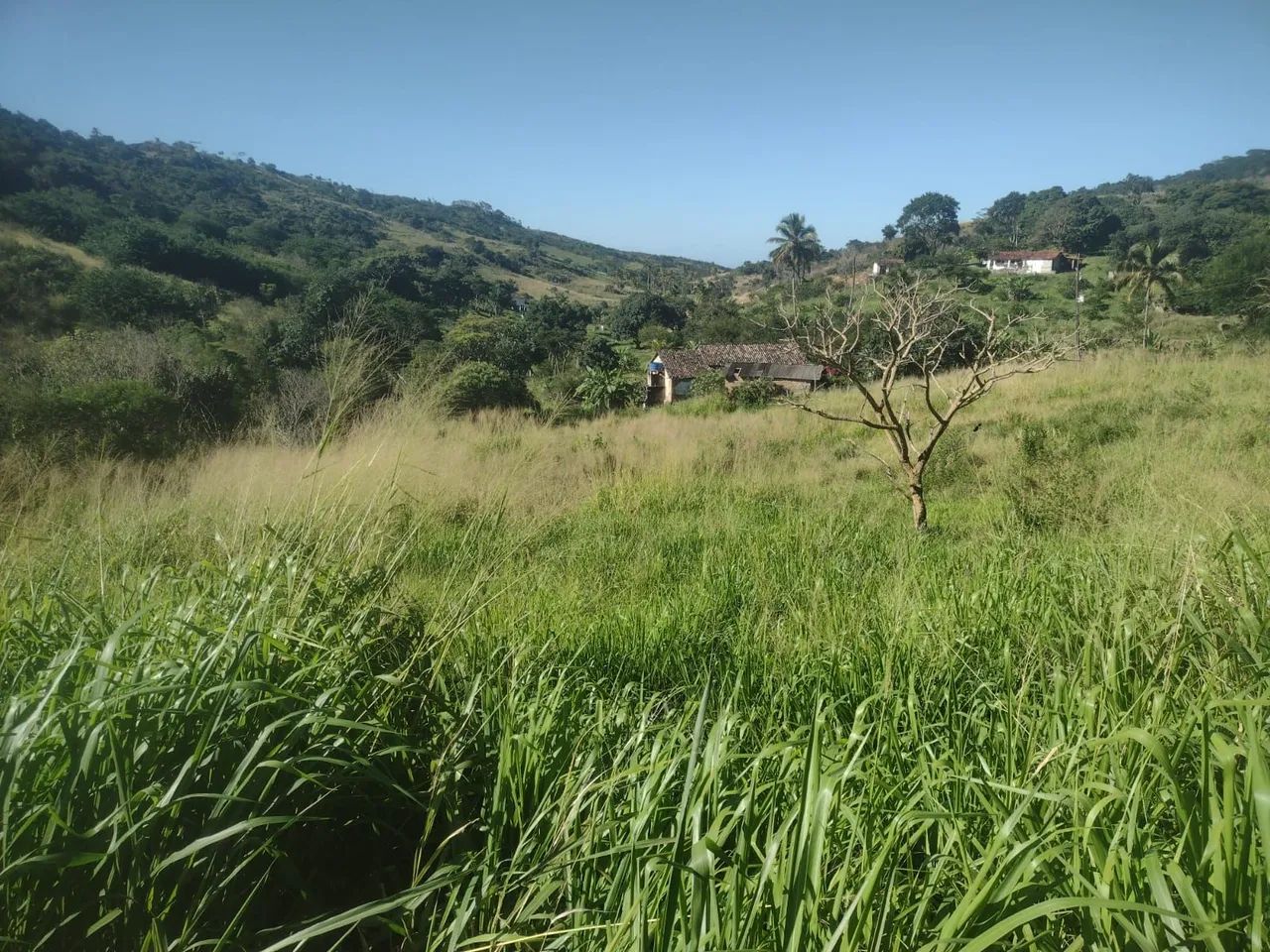 Sitio paraíso em Pombos - Foto 2
