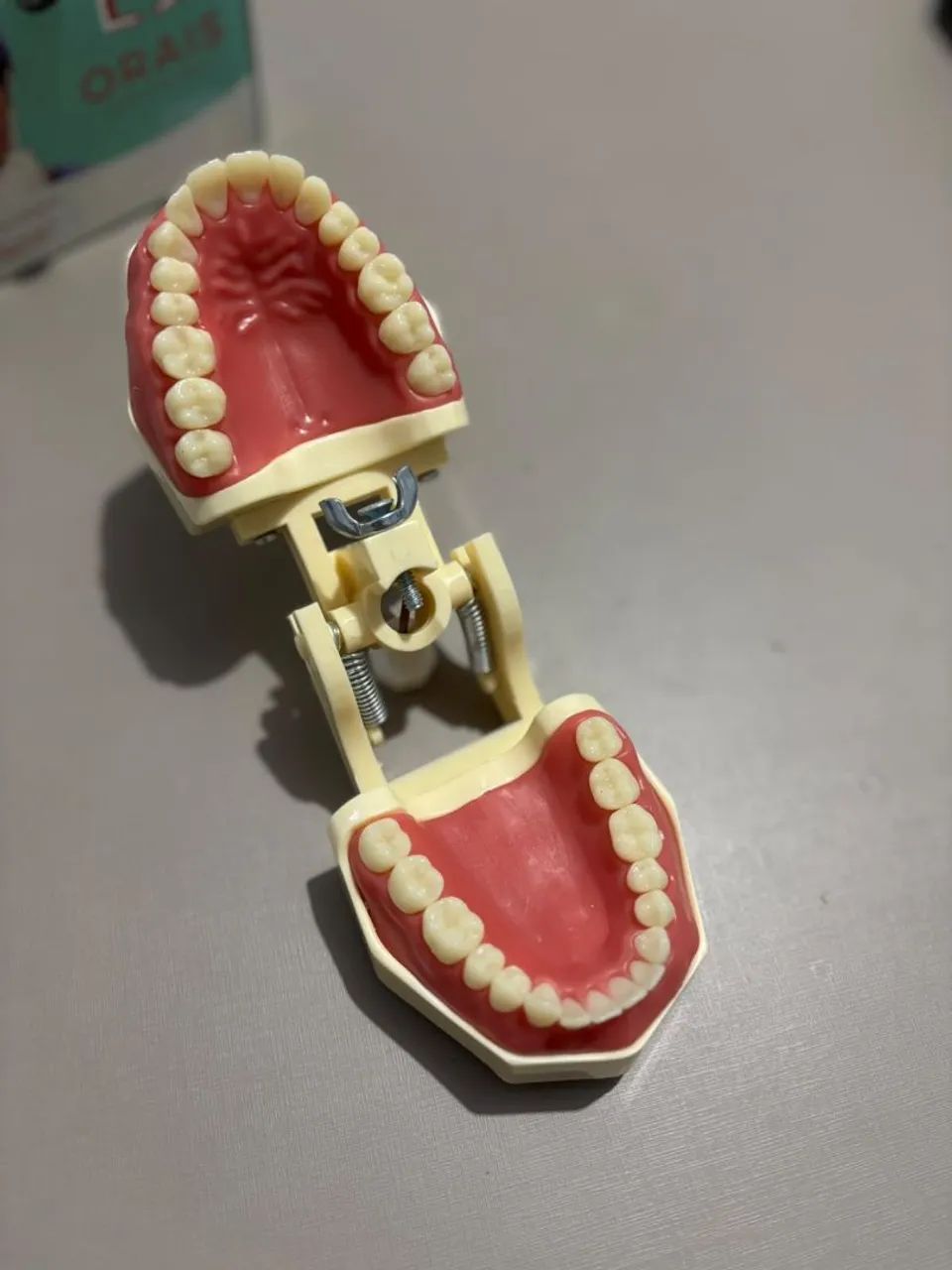 Manequim odontológico - Foto 2