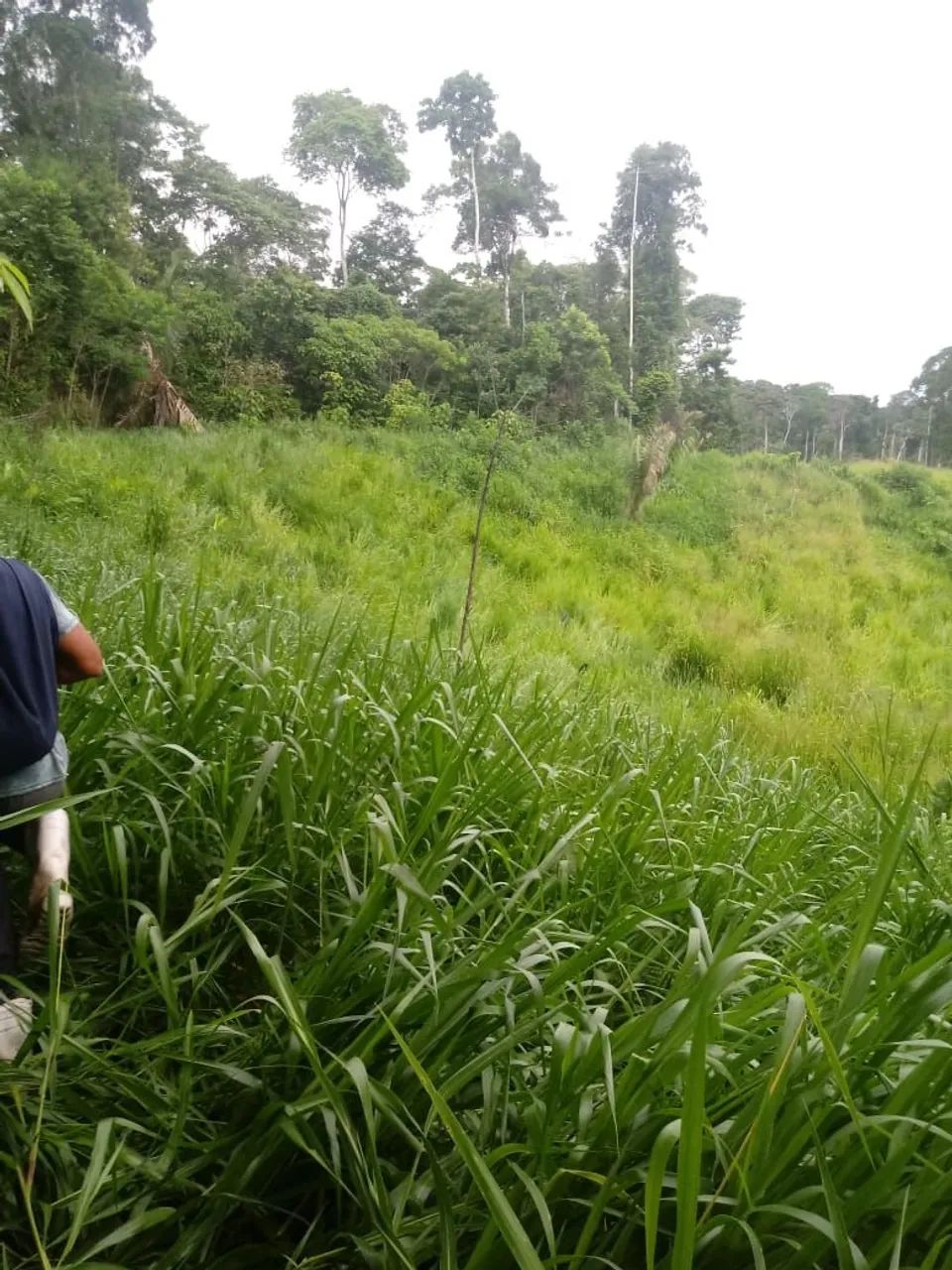 Vendo 632 hectares 650.000,00 tel. * - Foto 5
