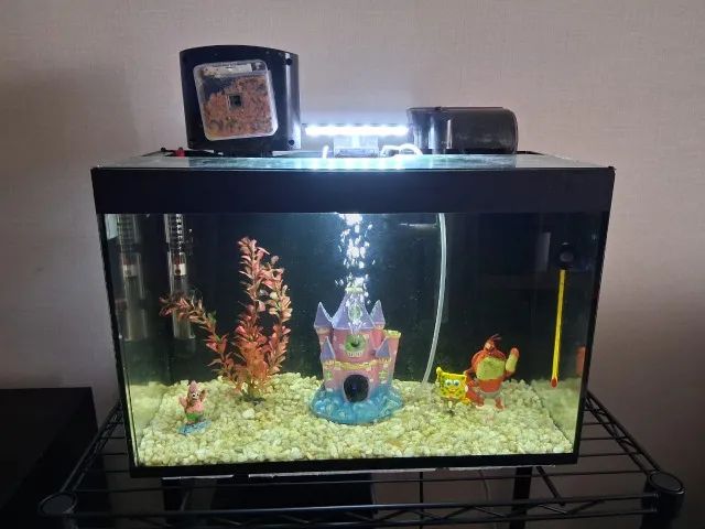 Aquario Completo (30 Litros)