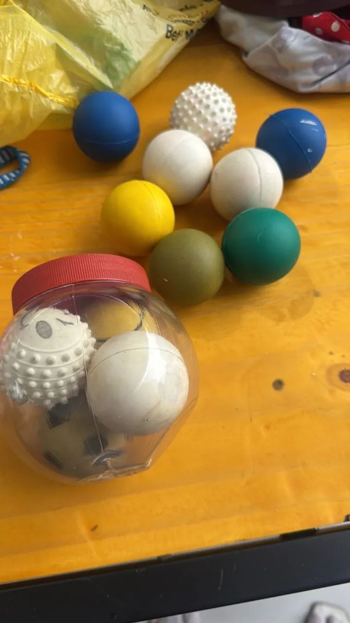 acessorio petshop - Foto 2