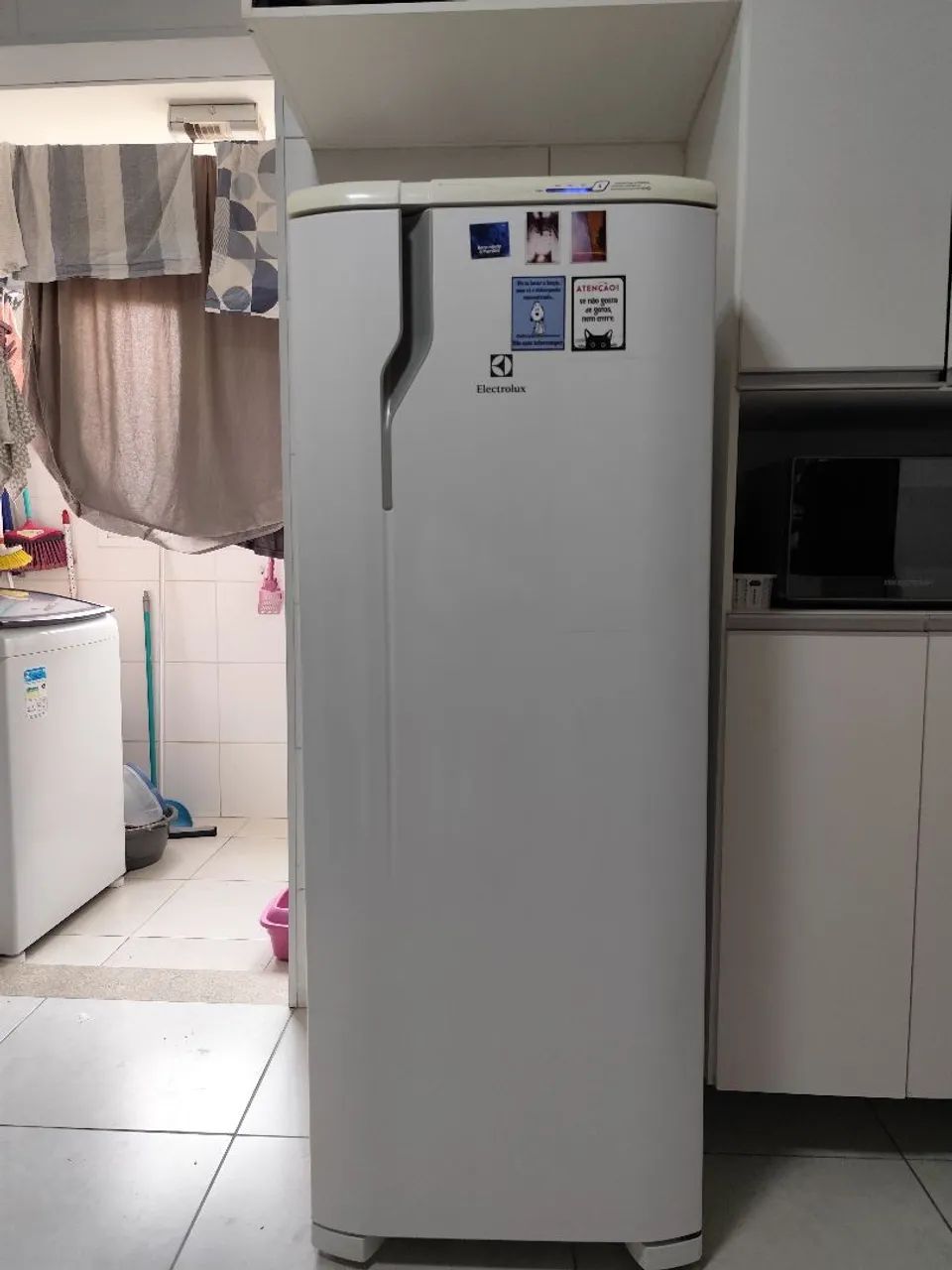 Geladeira Electrolux RFE 39